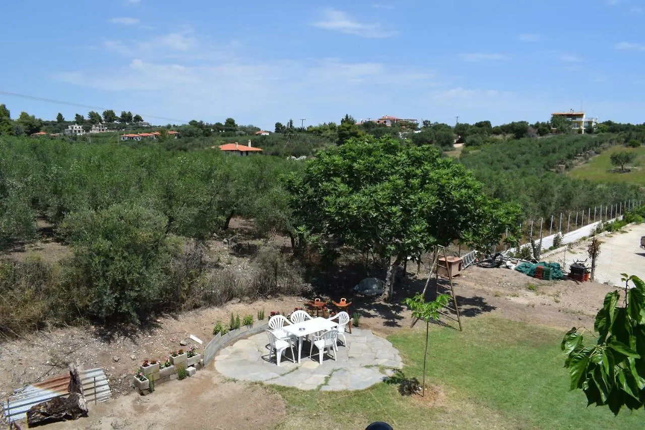 Lucid Dream Apt. |Bozinis Psakoudia